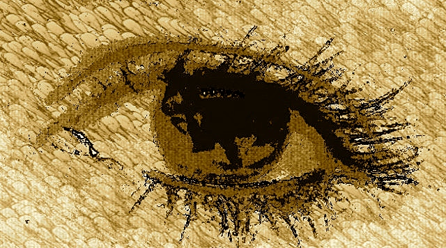 1____12555971_1510421489260027_81892388_n